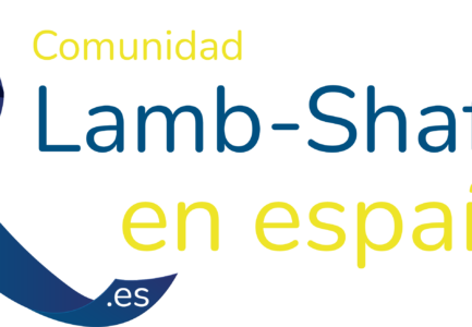 Un granito de arena para apoyar al síndrome de Lamb-Shaffer